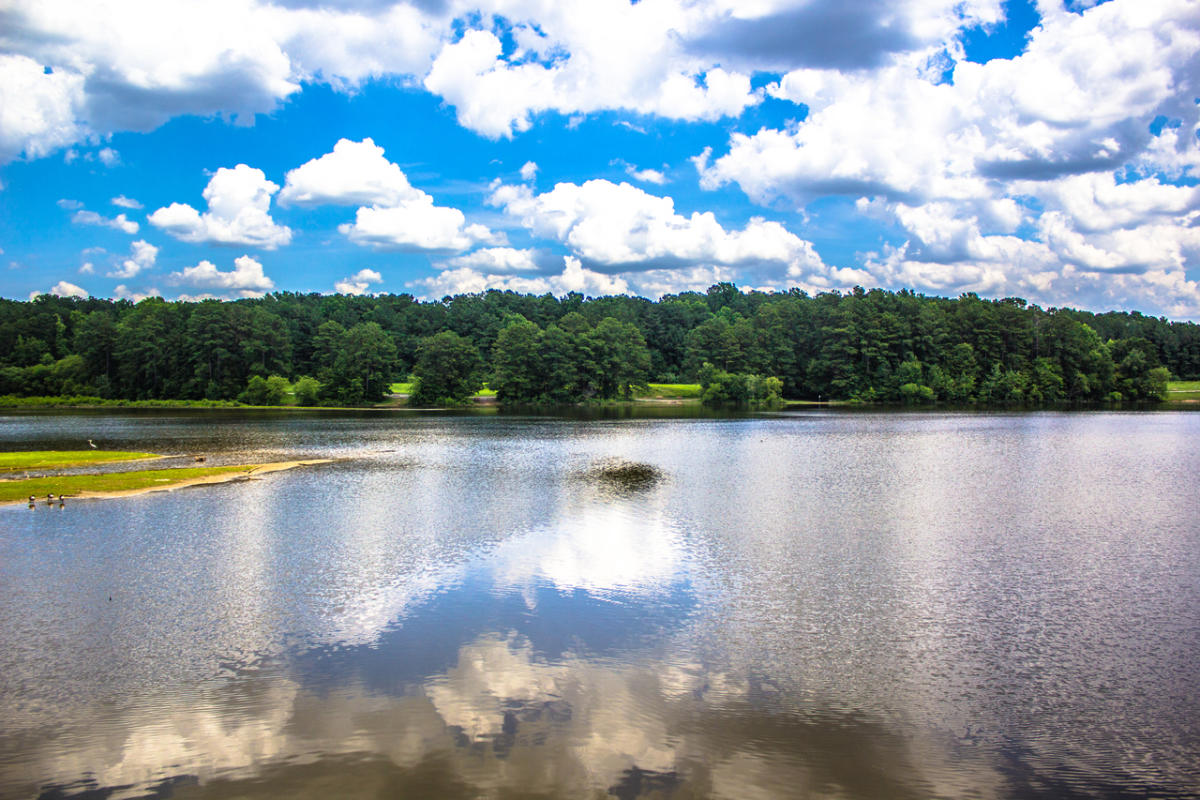 Shelley Lake Park: An oasis of outdoor adventure awaiting families in North Raleigh.